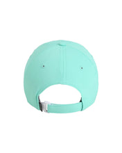 Load image into Gallery viewer, Iron Swell Performance Hat